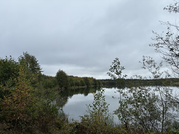 Medium property photo - Omgeving Dorperheideweg, 5944 PA Arcen