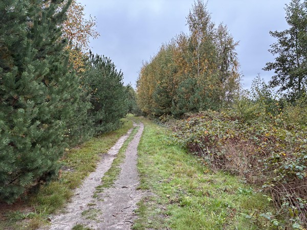 Medium property photo - Omgeving Dorperheideweg, 5944 PA Arcen