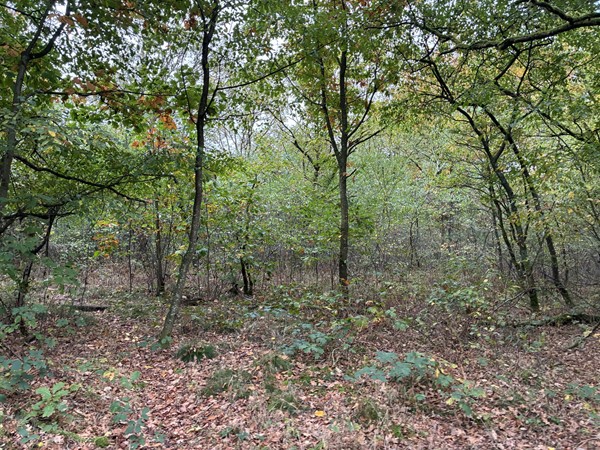 Medium property photo - Omgeving Dorperheideweg, 5944 PA Arcen