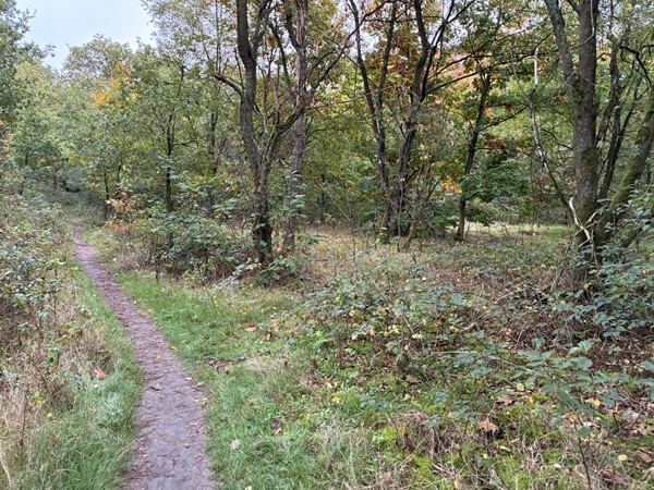 Medium property photo - Omgeving Dorperheideweg, 5944 PA Arcen