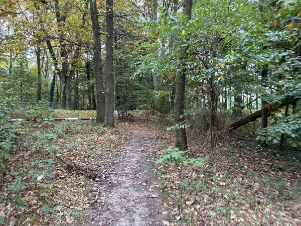 Medium property photo - Omgeving Dorperheideweg, 5944 PA Arcen