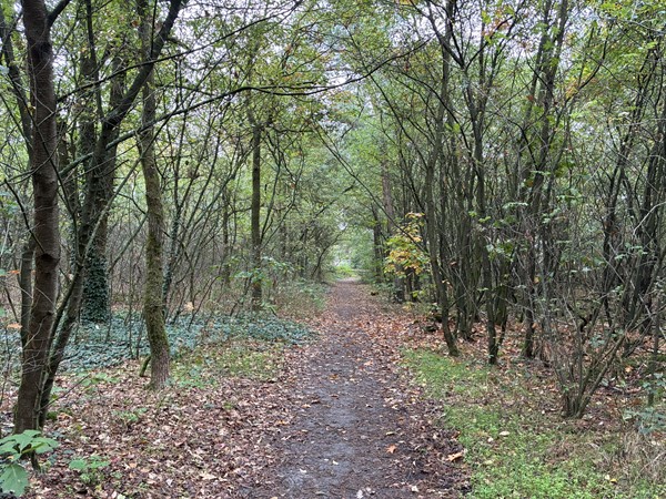 Medium property photo - Omgeving Dorperheideweg, 5944 PA Arcen