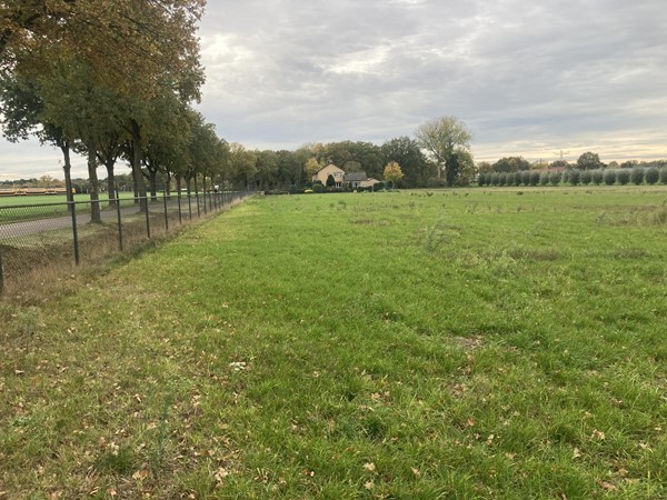 Medium property photo - Vestjenshoek, 6095 NT Baexem