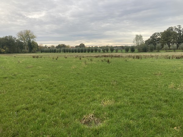 Medium property photo - Vestjenshoek, 6095 NT Baexem