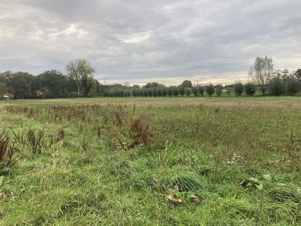 Medium property photo - Vestjenshoek, 6095 NT Baexem