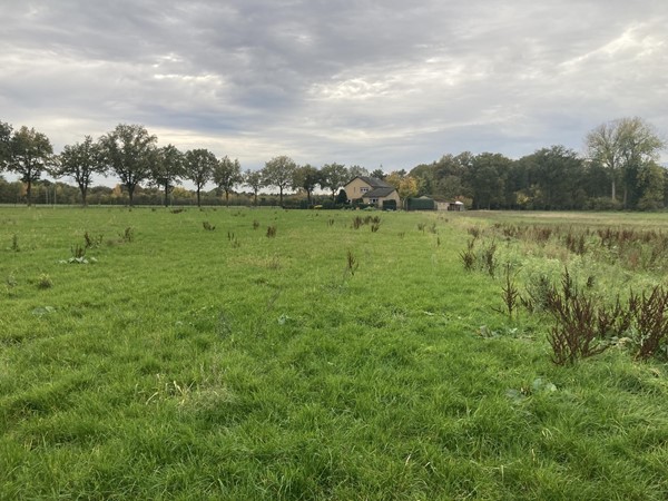 Medium property photo - Vestjenshoek, 6095 NT Baexem