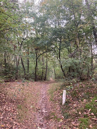 Medium property photo - Rijksweg, 5995 NS Kessel