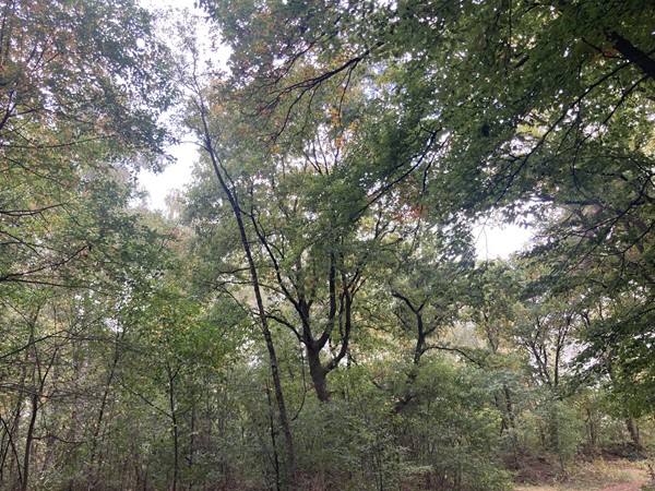 Medium property photo - Rijksweg, 5995 NS Kessel