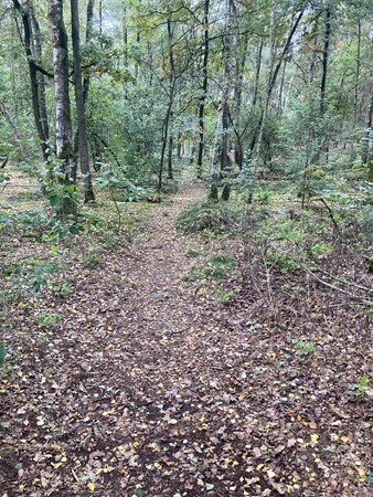 Medium property photo - Rijksweg, 5995 NS Kessel