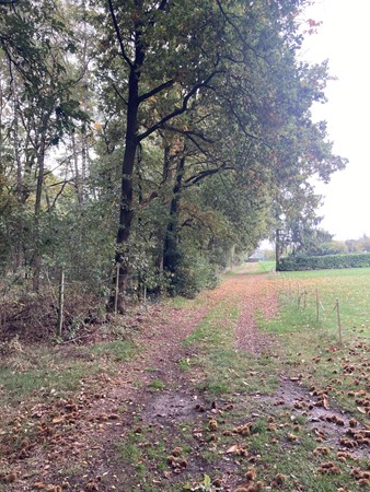 Medium property photo - Rijksweg, 5995 NS Kessel