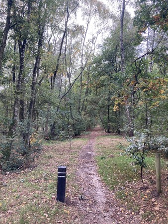 Medium property photo - Rijksweg, 5995 NS Kessel