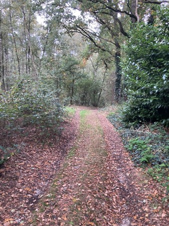 Medium property photo - Rijksweg, 5995 NS Kessel