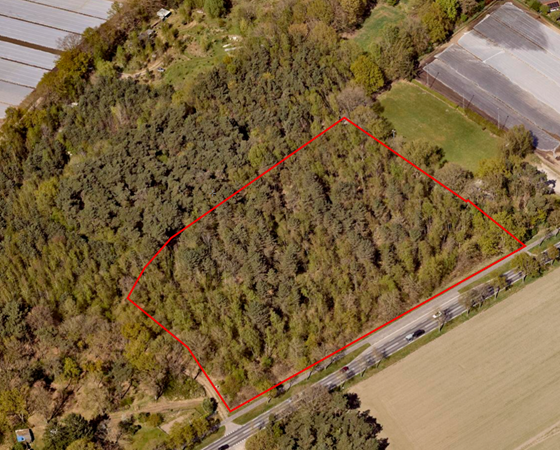 Medium property photo - Rijksweg, 5995 NS Kessel