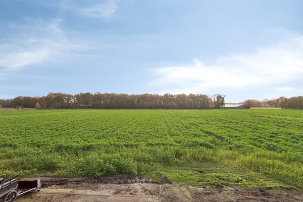 Medium property photo - Zandstraat 4, 5984 PA Koningslust