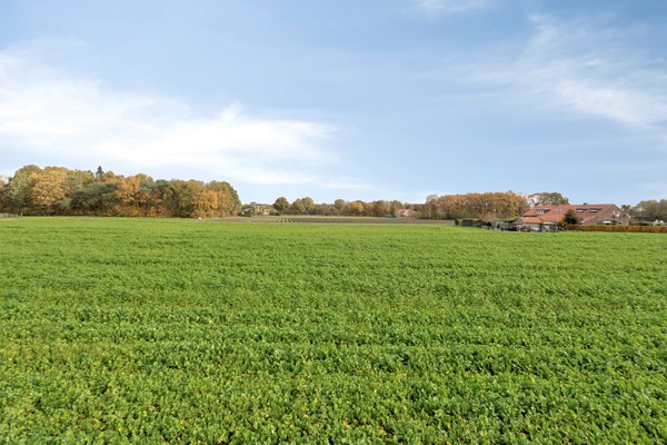 Medium property photo - Zandstraat 4, 5984 PA Koningslust