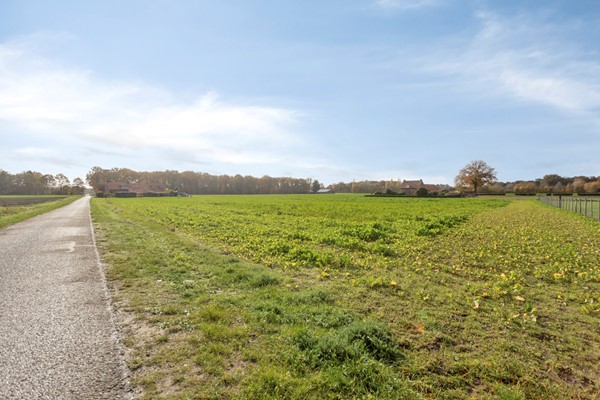 Medium property photo - Zandstraat 4, 5984 PA Koningslust