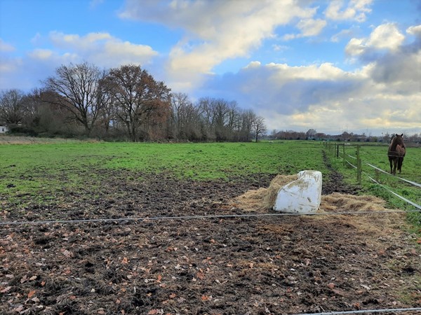 Medium property photo - Wildingsteeg, 6004 SP Weert