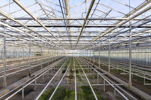 Medium property photo - Hazenkampweg 29, 5964 PE Meterik