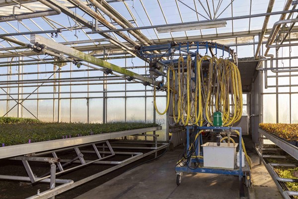 Medium property photo - Hazenkampweg 29, 5964 PE Meterik