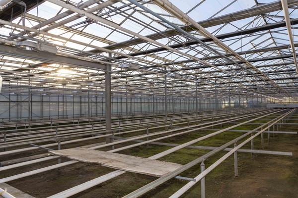 Medium property photo - Hazenkampweg 29, 5964 PE Meterik