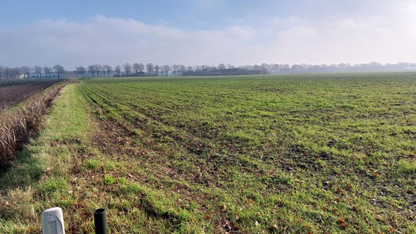 Medium property photo - Twistweg, 5816 AE Vredepeel