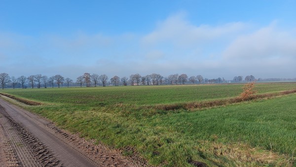 Medium property photo - Twistweg, 5816 AE Vredepeel