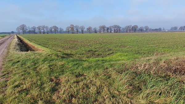 Medium property photo - Twistweg, 5816 AE Vredepeel