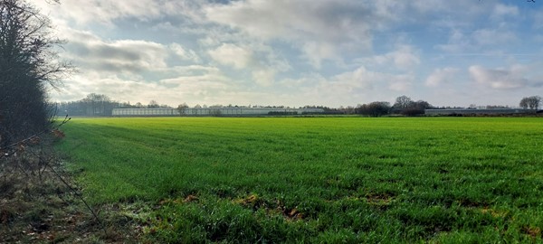 Medium property photo - Blaktdijk, 5976 NA Kronenberg