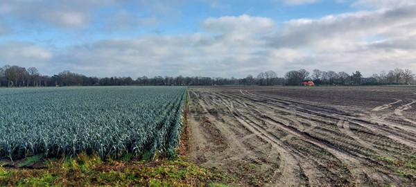 Te koop: Hottemeerweg, 5966 RJ America