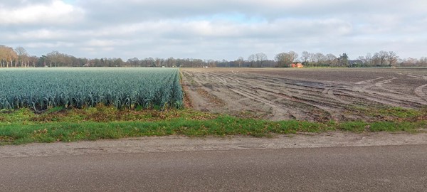 Medium property photo - Hottemeerweg, 5966 RJ America