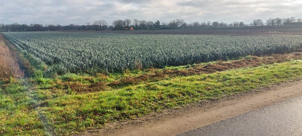 Medium property photo - Hottemeerweg, 5966 RJ America