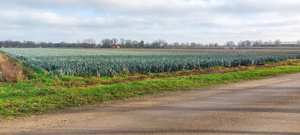 Medium property photo - Hottemeerweg, 5966 RJ America