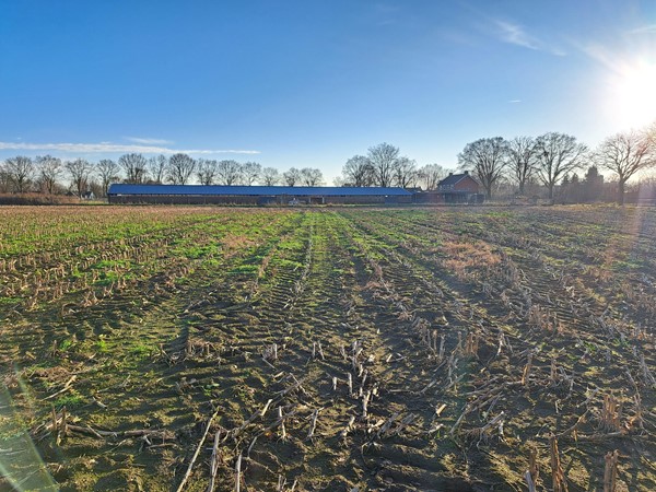 Medium property photo - Breubensteeg, 6031 AB Nederweert