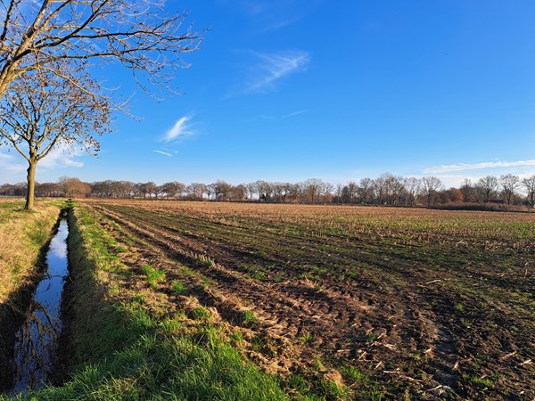 Medium property photo - Breubensteeg, 6031 AB Nederweert