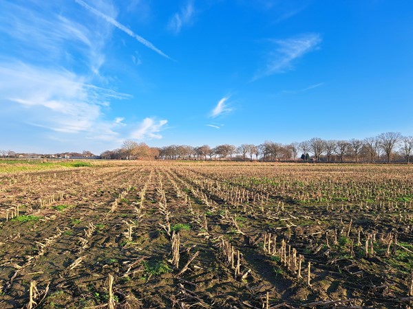 Medium property photo - Breubensteeg, 6031 AB Nederweert