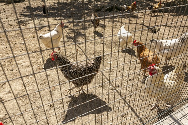 Medium property photo - Laar 15, 6363 CT Wijnandsrade