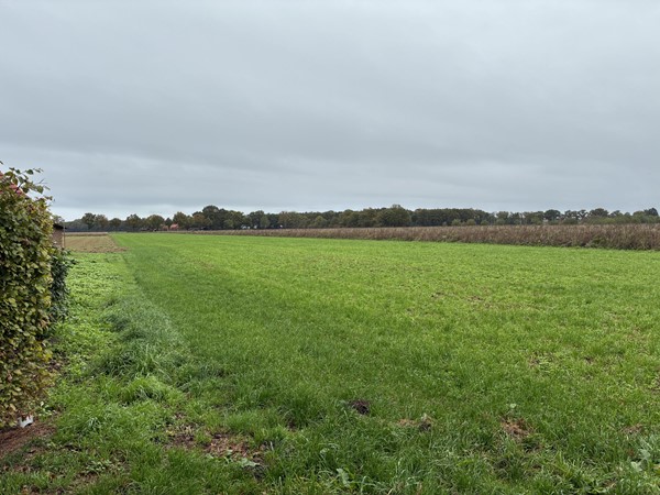 Medium property photo - Kendelweg, 5853 EL Siebengewald