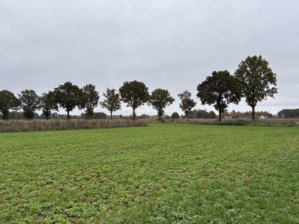 Medium property photo - Kendelweg, 5853 EL Siebengewald