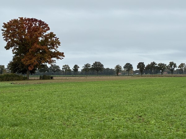 Medium property photo - Kendelweg, 5853 EL Siebengewald