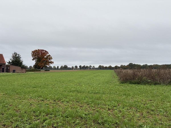 Medium property photo - Kendelweg, 5853 EL Siebengewald