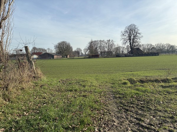 Medium property photo - nabij Plattepeeldijk, 6035 RP Ospel