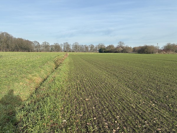 Medium property photo - nabij Plattepeeldijk, 6035 RP Ospel