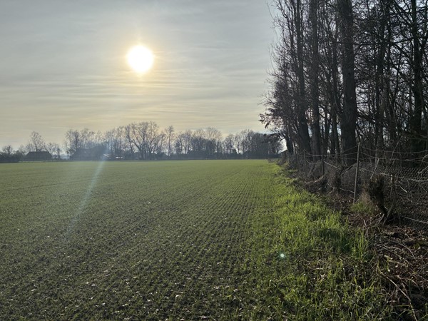 Medium property photo - nabij Plattepeeldijk, 6035 RP Ospel