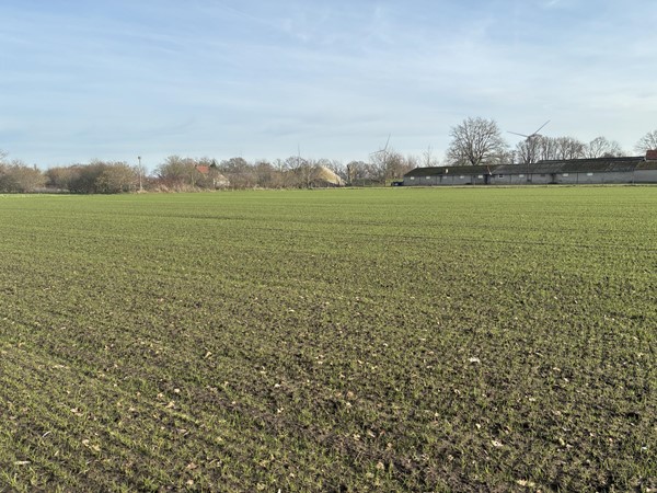 Medium property photo - nabij Plattepeeldijk, 6035 RP Ospel