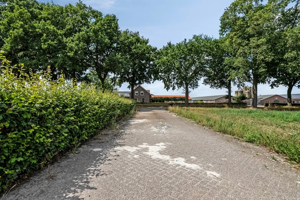 Medium property photo - Timmermannsweg 119, 5813 AM Ysselsteyn