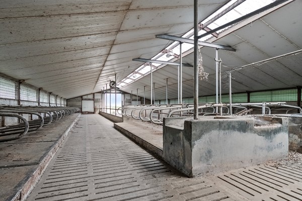 Medium property photo - Timmermannsweg 119, 5813 AM Ysselsteyn