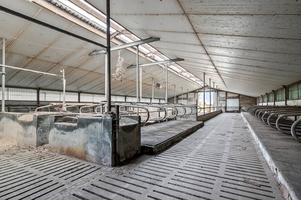 Medium property photo - Timmermannsweg 119, 5813 AM Ysselsteyn