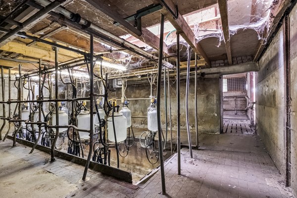 Medium property photo - Timmermannsweg 119, 5813 AM Ysselsteyn