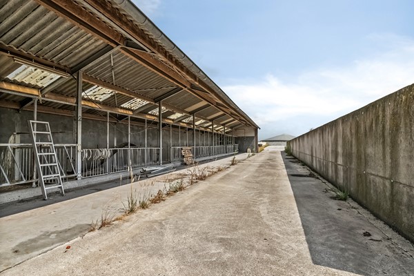 Medium property photo - Timmermannsweg 119, 5813 AM Ysselsteyn