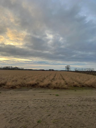 Te koop: Veldstraat, 6096 BJ Grathem